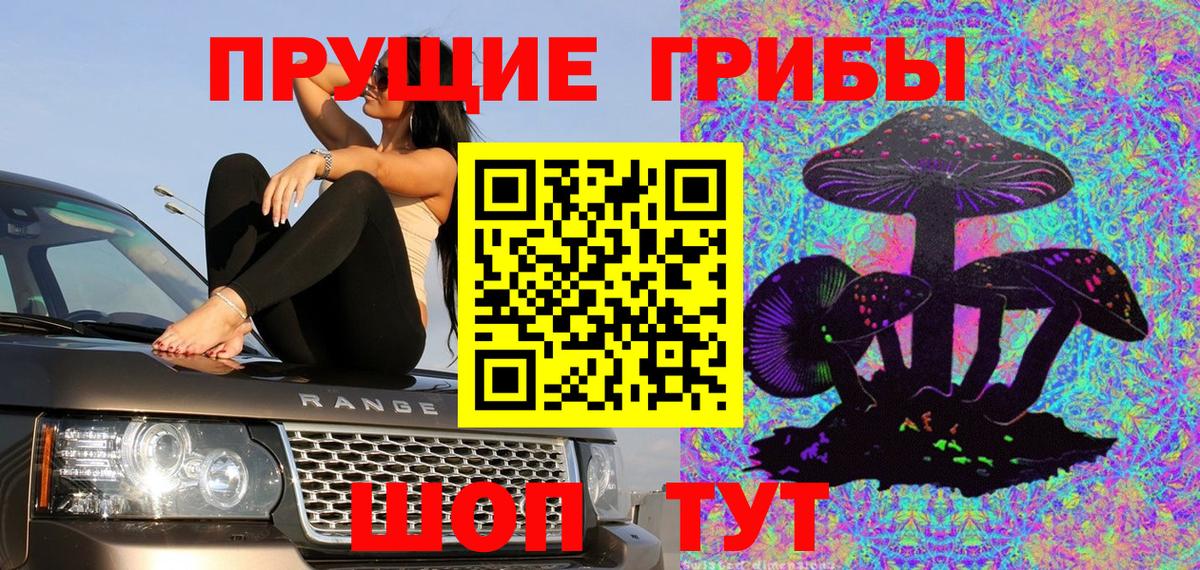 Галлюциногенные грибы Psilocybine cubensis Котельники