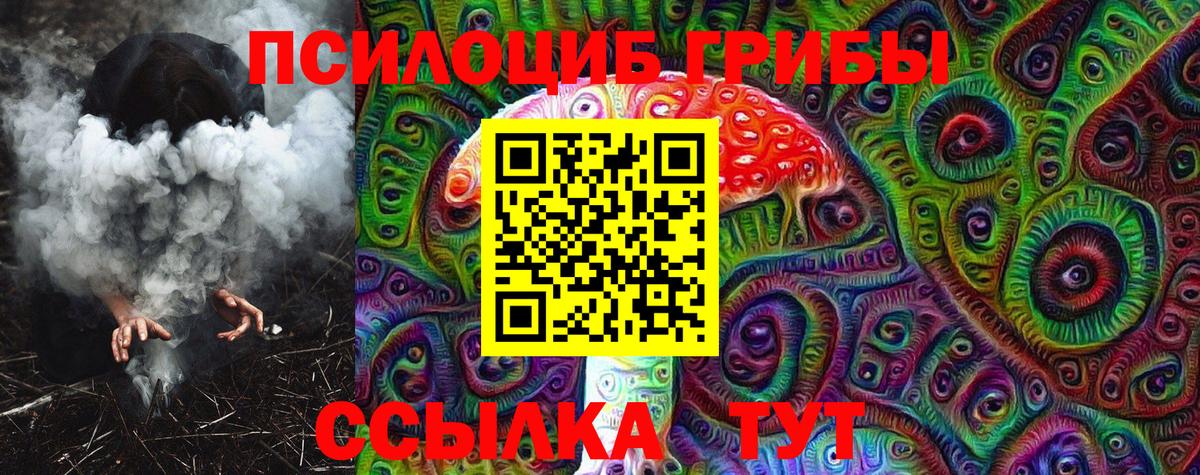 Котельники  Псилоцибиновые грибы Cubensis  Вход с VPN 